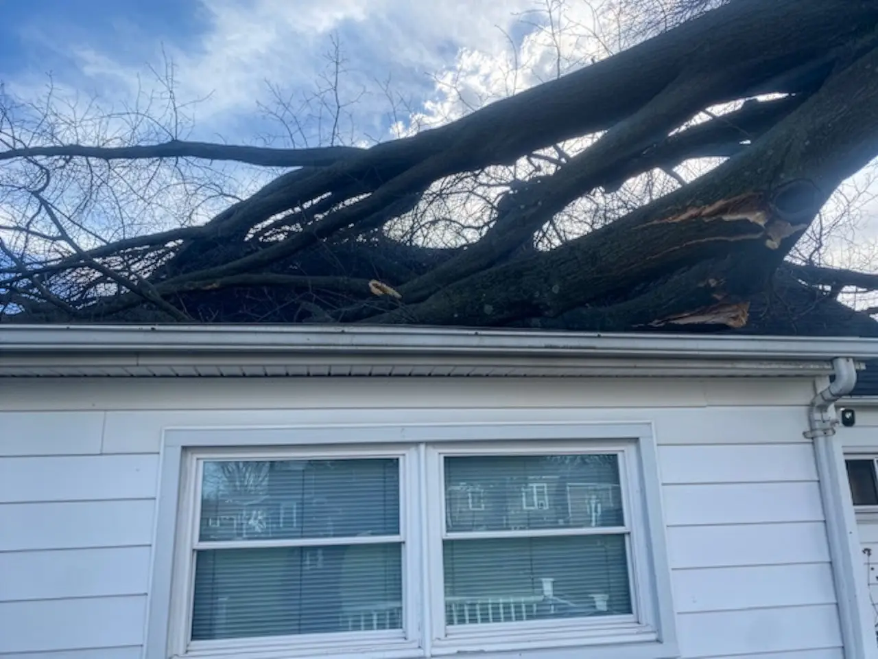 Storm damage tree on home