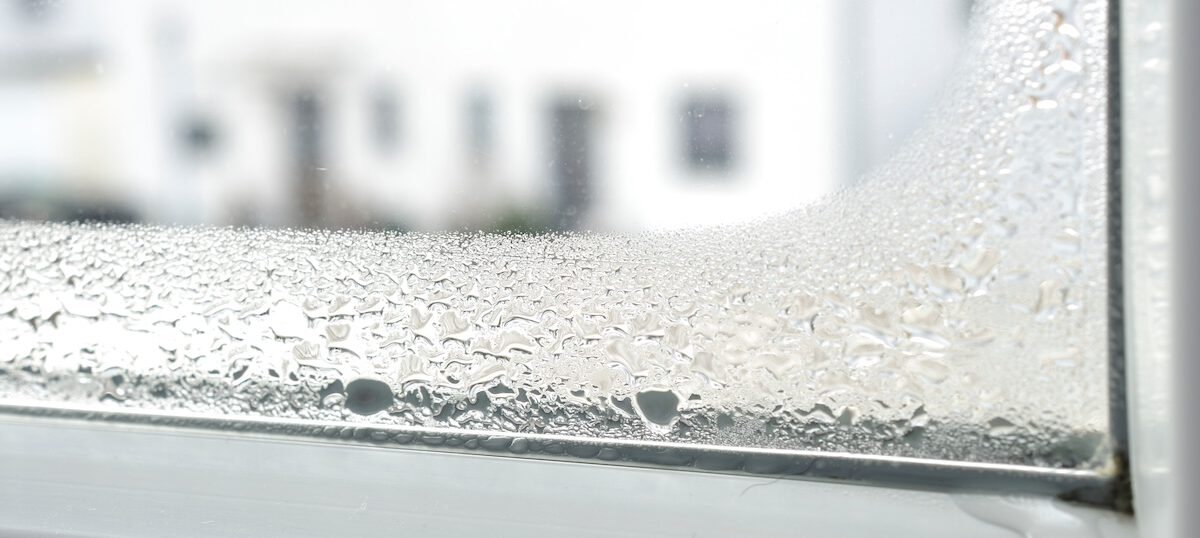 Windows Leaking Water